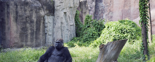 北京适合4岁宝宝玩的地方_北京适合带4岁宝宝