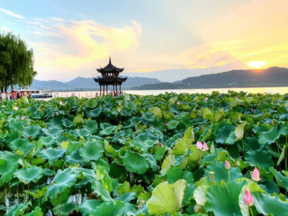上海-苏州-杭州旅游一次多少钱_十月份去上海-苏州-杭州好吗_目前上海-苏州-杭州旅游