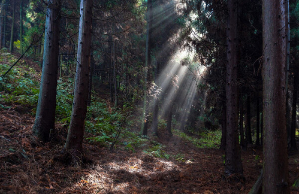 月去云阳当月天气_十二月去云阳穿什么衣服_