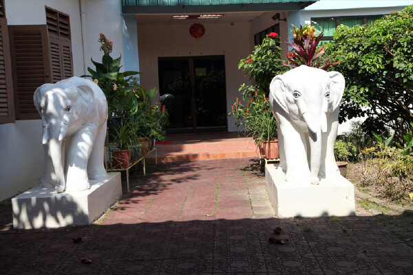 冬天去吉隆坡穿衣指南_冬天去吉隆坡当月天气