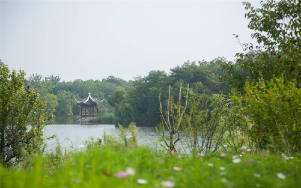 秋天去宿迁旅游是否推荐_秋天去宿迁旅游景点