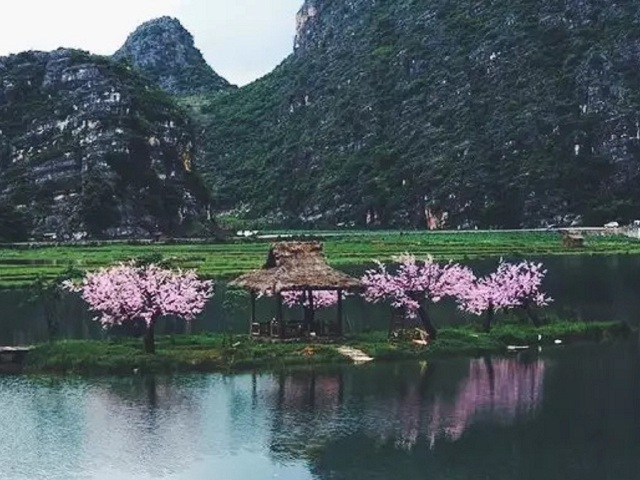 游世外桃源,享天然氧吧,住温泉酒店,篝火晚会