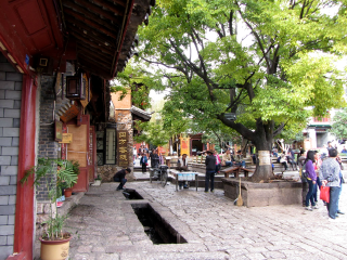 2021年云南香格里拉旅游團報價_云南香格里拉游報價_云南香格里拉組團旅游