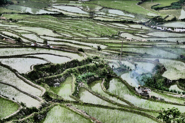 六月去红河当月天气_六月去红河穿什么衣服_