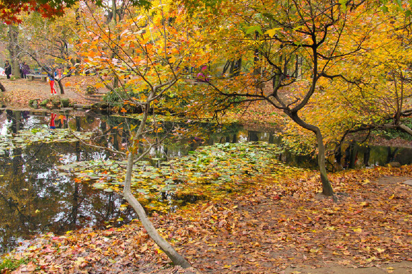 苏州家庭聚会的地方_苏州适合家庭聚会的餐厅