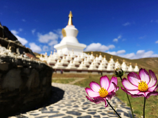 云南麗江旅游多少錢一個人_跟團云南麗江游價格_云南麗江報團旅游多少錢