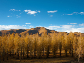 云南-香格里拉游特價(jià)團(tuán)_去云南-香格里拉旅游要多少錢_云南-香格里拉私人定制旅游