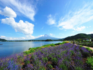 2021年日本旅游團(tuán)報(bào)價(jià)_8月日本旅游_日本跟團(tuán)還是自由行