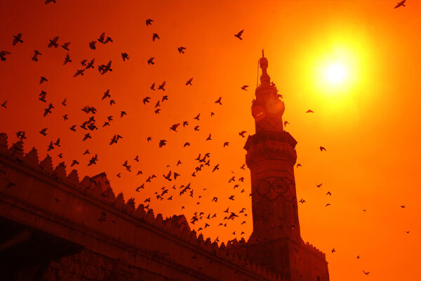 七月去叙利亚旅游是否推荐_七月去叙利亚旅游