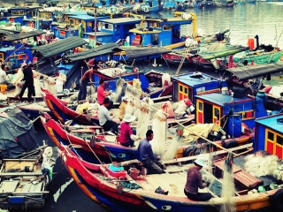 廈門鼓浪嶼旅行團旅游報價_近期廈門鼓浪嶼游價格_跟團廈門鼓浪嶼旅游價格表