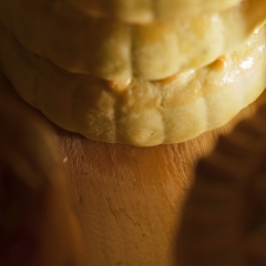 昆明月饼_7470_5886