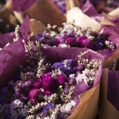 昆明干花_7464_5853