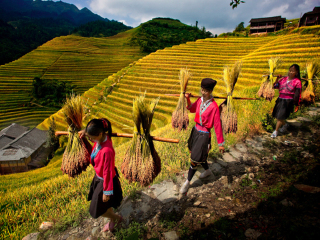 桂林陽(yáng)朔旅游花多少錢(qián)_桂林陽(yáng)朔九月旅游_桂林陽(yáng)朔半自由行