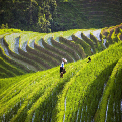 景点模块 