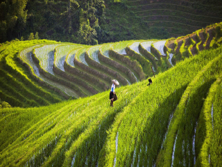 深圳到桂林旅游報(bào)價(jià)_桂林游特價(jià)團(tuán)_桂林旅游花費(fèi)一般多少