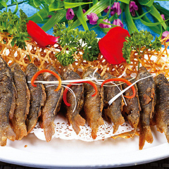 餐饮模块 