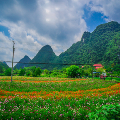 景点模块 