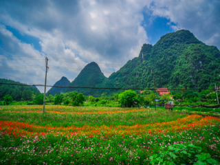深圳到桂林旅游報(bào)價(jià)_桂林游特價(jià)團(tuán)_桂林旅游花費(fèi)一般多少
