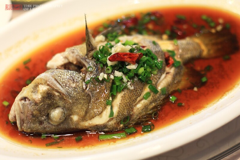 浙江宁波象山美食美景自驾游全