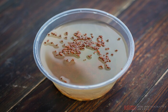 【周边游】暑假去哪玩?浙江宁波象山美食美景