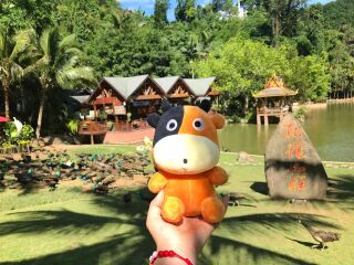 云南西雙版納報團(tuán)旅游多少錢_2021去云南西雙版納旅游團(tuán)報價_云南西雙版納八月份旅游