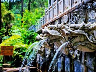 去云南香格里拉游要多少錢_旅游團云南香格里拉_云南香格里拉跟團游與自由行