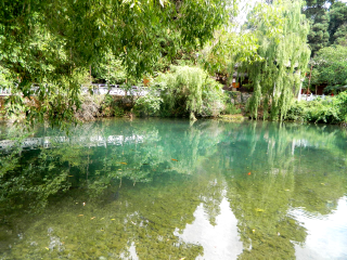 云南香格里拉旅行跟團(tuán)_去云南香格里拉游要多少錢