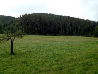 云南香格里拉旅行跟團(tuán)_去云南香格里拉游要多少錢