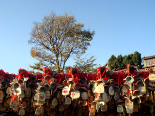 云南香格里拉旅行跟團(tuán)_去云南香格里拉游要多少錢