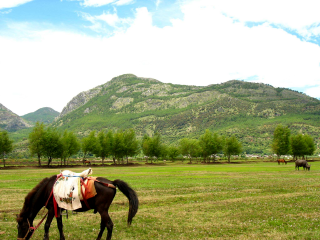 云南香格里拉旅行跟團(tuán)_去云南香格里拉游要多少錢