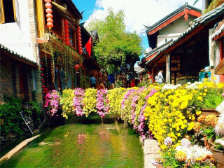 西双版纳7日旅游_深圳去西双版纳旅游价格_深圳包团西双版纳旅游价格