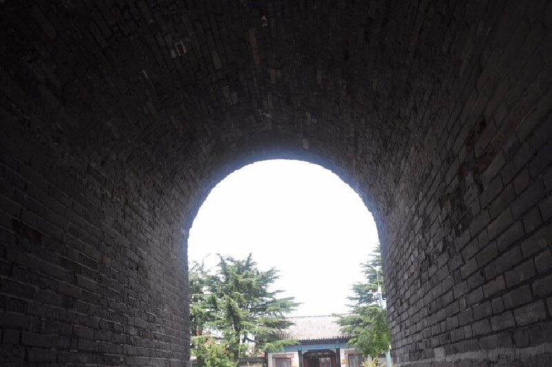 振扬门             