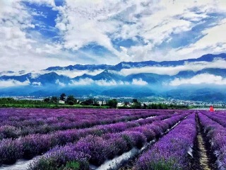 康辉昆明旅游_近期去昆明旅游_从东莞到昆明旅游