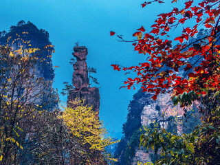 目前张家界旅游_上张家界旅游多少钱_张家界跟团旅游线路