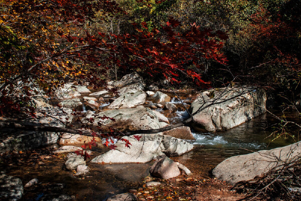 丹东到深圳旅游攻略_行程安排_景点推荐