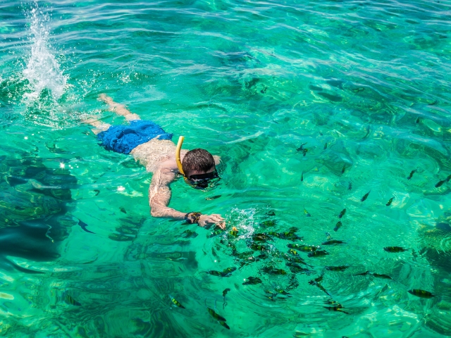 10.16会员日-日本东南亚港澳台