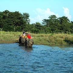 芭提雅骑大象_7851_11978