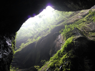 重慶跟團(tuán)還是自由行_8月重慶旅游_重慶特價(jià)旅游團(tuán)報(bào)價(jià)