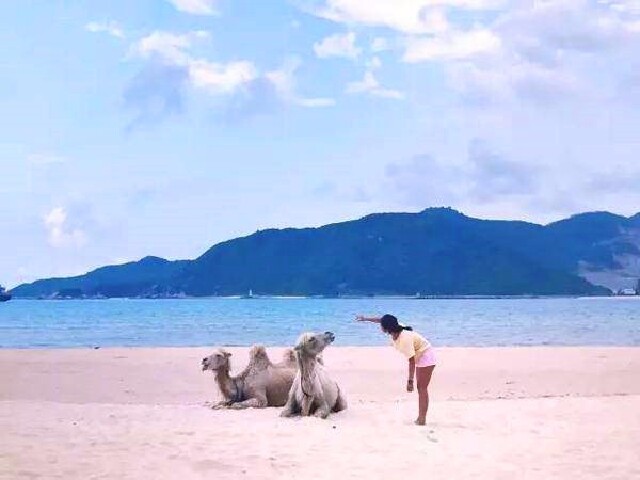 海边游玩主题攻略,海边游玩主题攻略大全