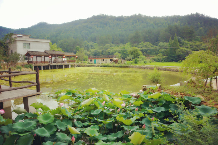 【周边游】去湖北罗田的百年古村落住一晚媲美法云安缦的精品民宿