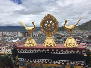八月香格里拉旅游_旅游去香格里拉报价_过年去香格里拉旅游
