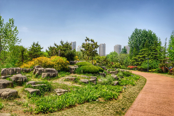 日照植物园           