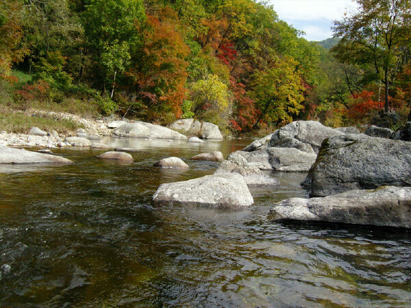 阜新到黄山旅游_攻略_行程安排
