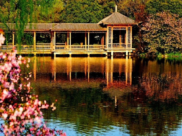 游玩时长:约30分钟 (参加时间)游览【西湖花港观鱼】西湖十景之一.