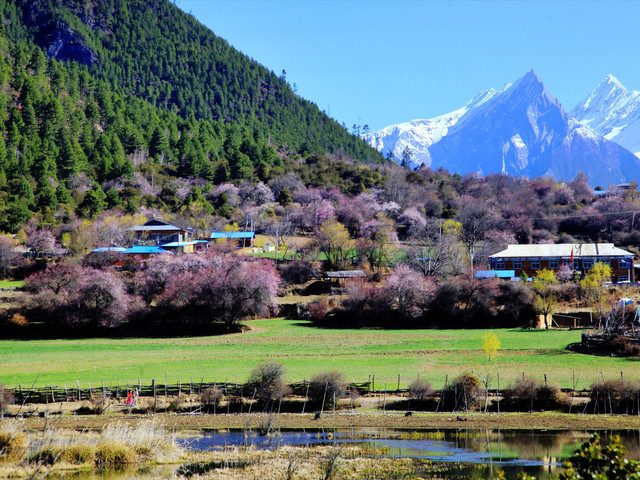  西藏-拉萨-林芝-措木及日-大峡谷-南伊沟-苯日神山-羊湖卧飞9日游>爱