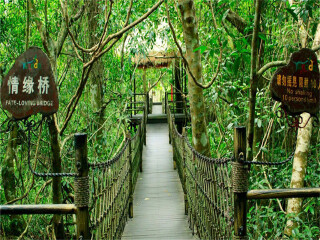 海南旅游價(jià)格多少_海南組團(tuán)旅游_海南旅游六日游路程