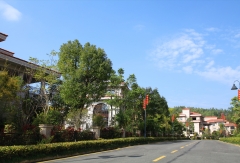 景点模块 