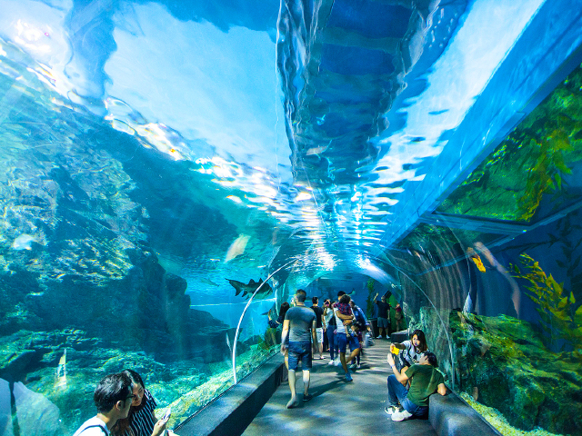 迪拜购物中心水族馆_迪拜地铁_迪拜公交车-圈子花园图片