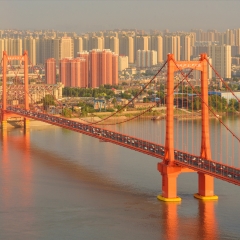 武汉鹦鹉洲大桥_23395