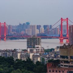 武汉鹦鹉洲大桥_23394